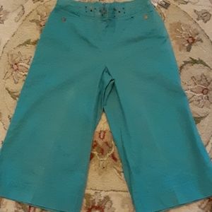 City Girl Nancy Bolen aqua dusty blue stretch beaded crop pants size 6 New …
